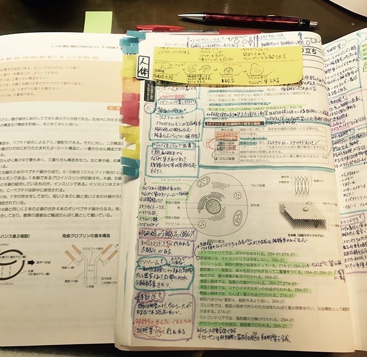 国試の達人 管理栄養士 - 語学・辞書・学習参考書